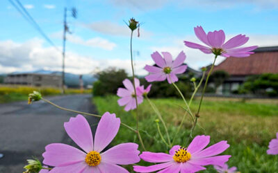 ややトレ11　-丹田と下半身を強くする-