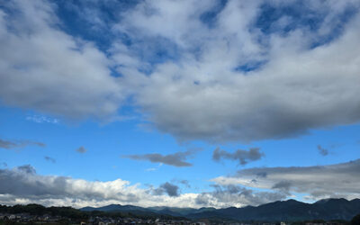 センスよりも素直さ