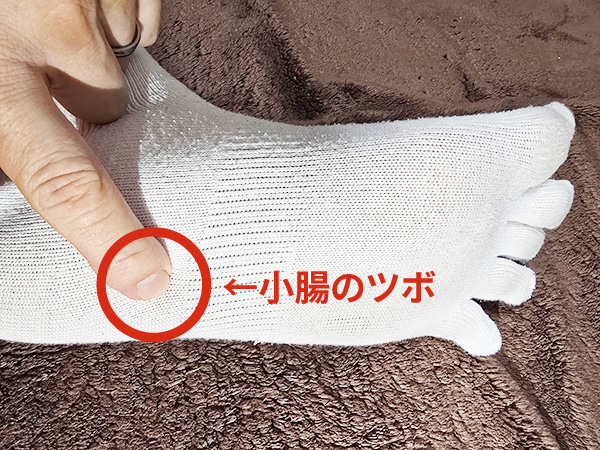 小腸のツボ説明画像