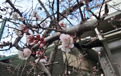 身体の使い方のルール